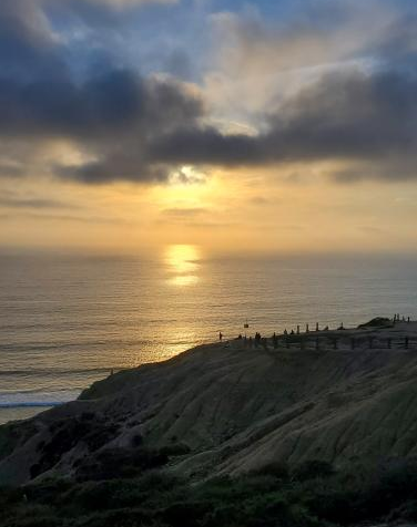 Picture of the sunset